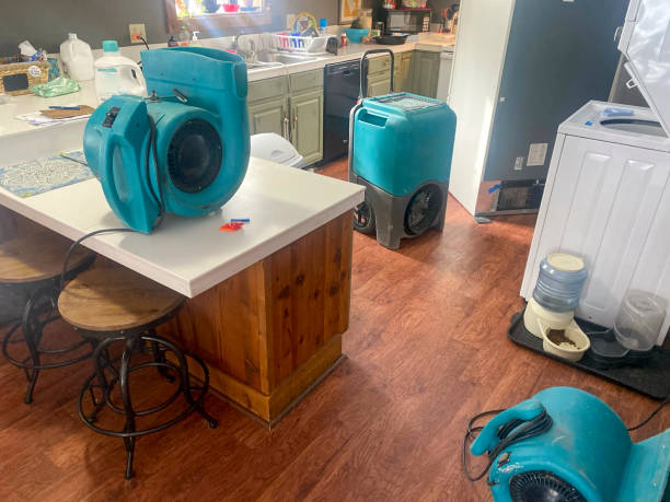 Best Flooded house restoration  in Zanesville, OH