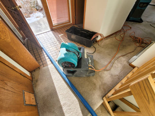 Best 24-hour water damage restoration  in Zanesville, OH