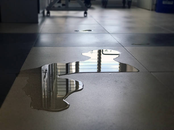 Best Commercial water damage restoration  in Zanesville, OH