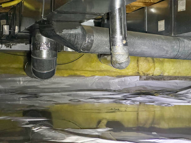 Best Carpet water damage restoration  in Zanesville, OH
