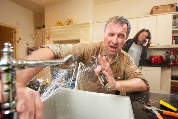 Best Mold removal after water damage  in Zanesville, OH